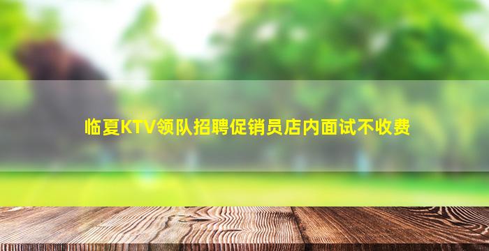 临夏KTV领队招聘促销员店内面试不收费